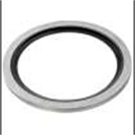 DOWTY SEAL BONDED 3/8 SS