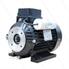 E-Motor 2,2 kW - 230V - Ø24mm Hohlwelle - IEC 100 - Serie E1