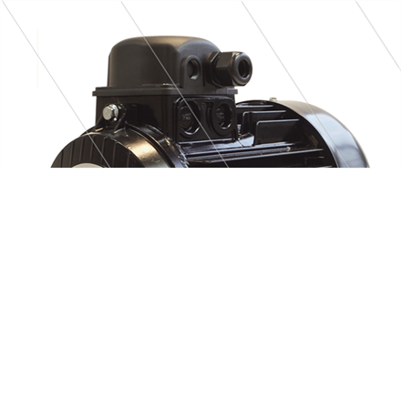 E-Motor 3.0 kW - 230/400V - Ø24mm Hohlwelle - IEC 100 - Seri