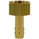 HOSE BARB 1/4"F 8MM BRASS