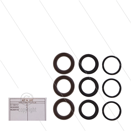 Kit 197 - Manschettensatz Ø18mm für 3 Plunger - Serie 60