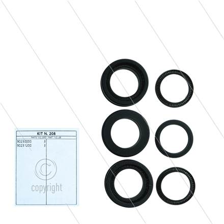 Kit 208 - Manschettensatz Ø22mm für 3 Plunger - Serie 66 (V)