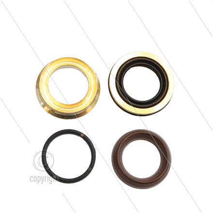 Kit 227 - kompletter Dichtsatz Ø18mm für 1 Plunger - Serie 6