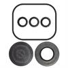 Kit 43896 piston