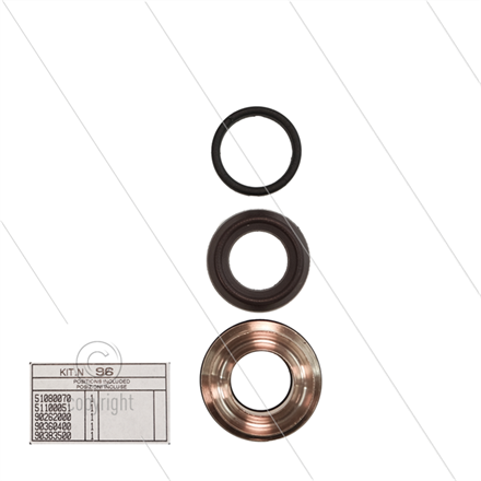 Kit 96 - kompletter Dichtsatz Ø15mm für 1 Plunger - Serie 51