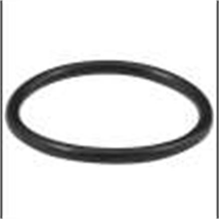 O-RING 31,42x2,62