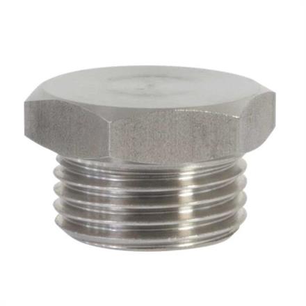 PLUG 1/2" WITH RIM; SS