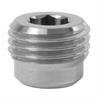 PLUG 1/4" WITHOUT RIM SS