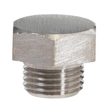 PLUG 1/8" WITH RIM; SS
