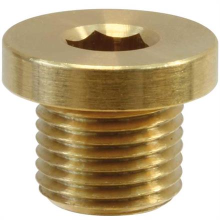 PLUG HEXAGON BRASS 1/2" WITH RIM