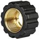 QUICK SCREW M22X1,5 BRASS/BLACK 17,3 mm
