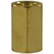 SOCKET HEXAGON 1/4" BRASS