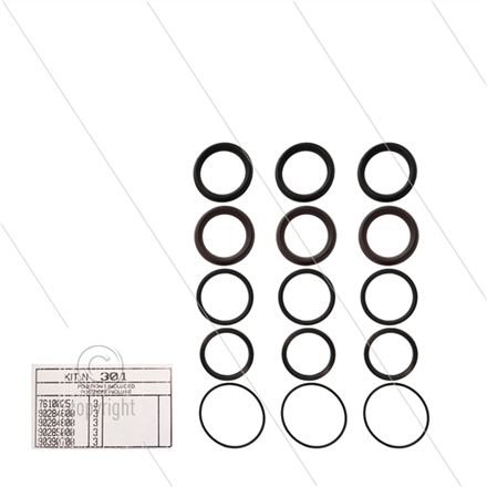 Kit 301 - Manschettensatz Ø45mm für 3 Plunger - Serie AB