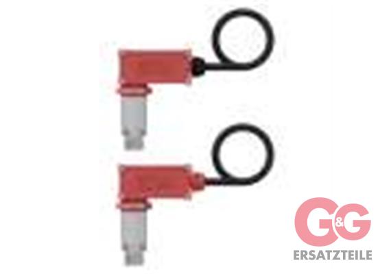 Druckschalter PR1 3/8"AG 45-600 Bar (SW) mit Edelstahlnippel