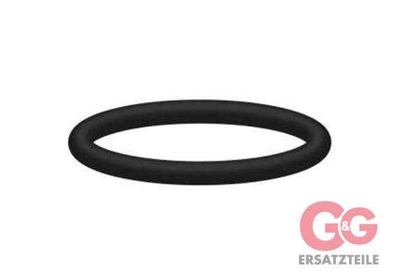 O-Ring 19,3x2,4 100 Stück