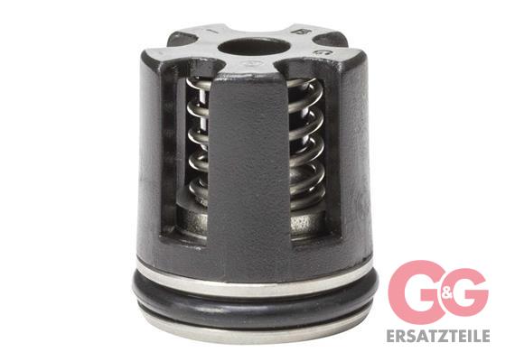 Ventilsatz 17 mm (6 Stück) passend für Kärcher