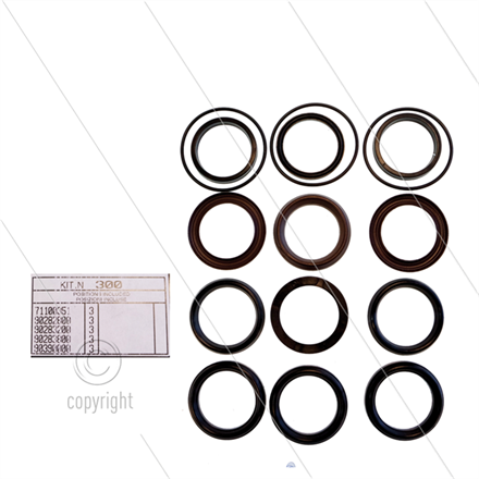 Kit 300 - Manschettensatz Ø40mm für 3 Plunger - Serie AB