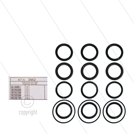 Kit 302 - Manschettensatz Ø50mm für 3 Plunger - Serie AB