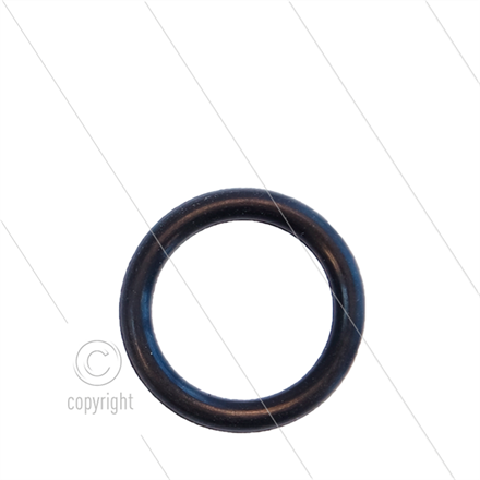O-Ring RP3100 klein