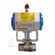 Pneum. kugelhahn RVS316 - 1/2" met doppelwirkende actuator