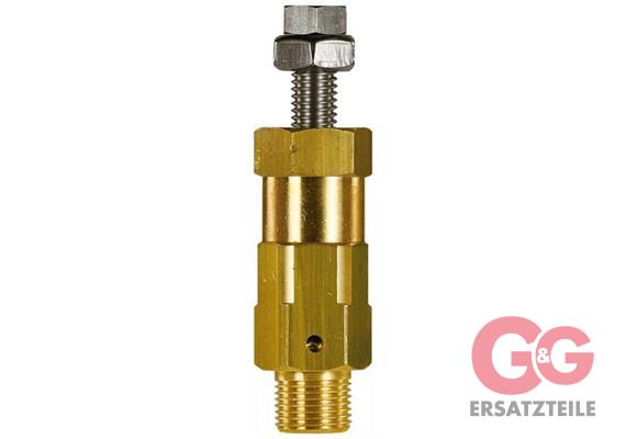 Druckbegrenzungsventil RM-250 24-240-60°