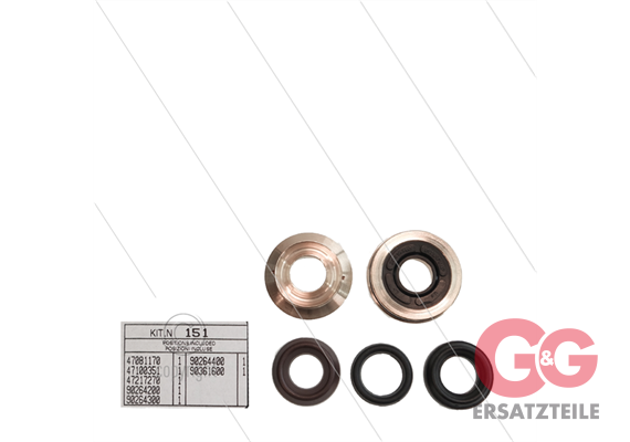 Kit 151 - kompletter Dichtsatz Ø16mm für 1 Plunger - T5050