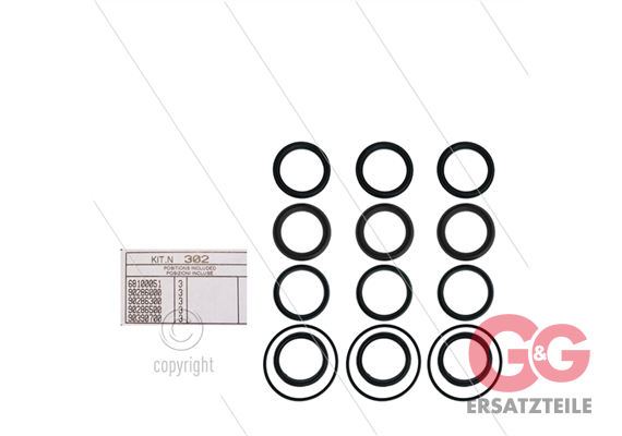 Kit 302 - Manschettensatz Ø50mm für 3 Plunger - Serie AB