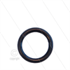 O-Ring RP3100 klein