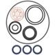 Öldichtungen KIT 127 Bertolini