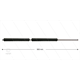PFL Lanze - L=900mm - gerade - Edelstahl - umspritzter Isolierung 2 x L=265 mm - 250 Bar
